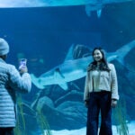 Top 5 Reasons to Get a Georgia Aquarium Membership 6