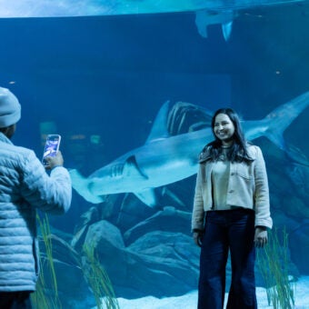 Top 5 Reasons to Get a Georgia Aquarium Membership 6