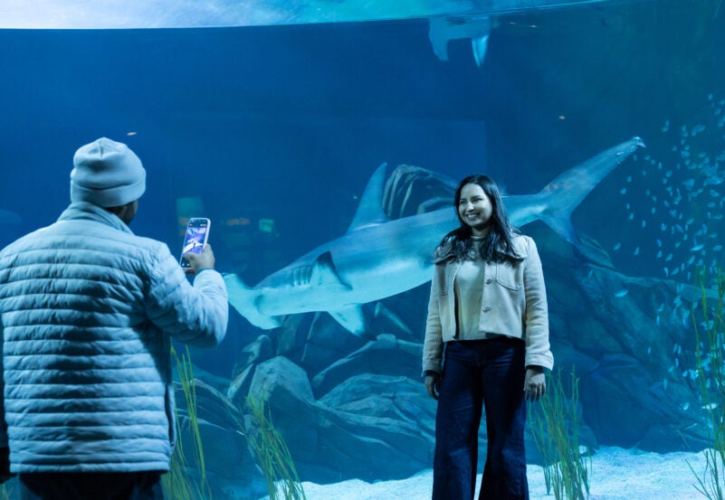 Top 5 Reasons to Get a Georgia Aquarium Membership 6
