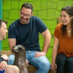 Top 5 Reasons to Get a Georgia Aquarium Membership 9