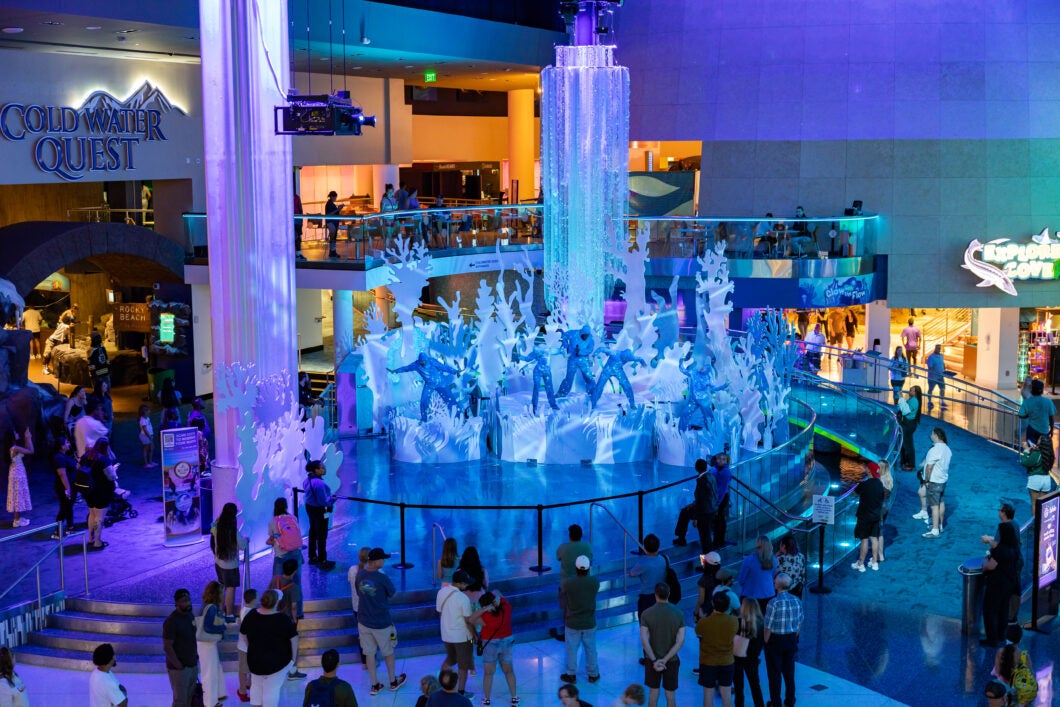 What’s New in 2026 at Georgia Aquarium 1