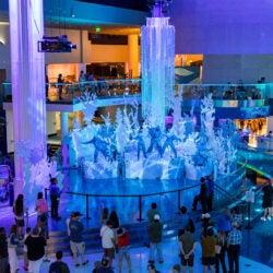 What’s New in 2026 at Georgia Aquarium 1