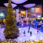 What’s New in 2026 at Georgia Aquarium 2