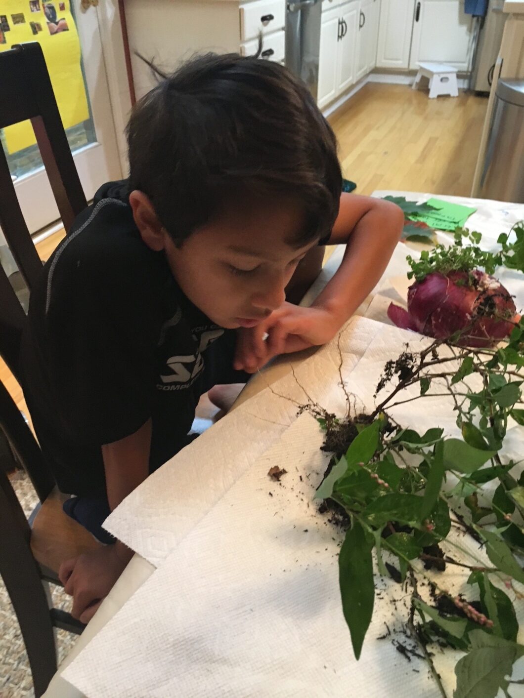 Remembering Brian L. Davis., Ph.D. 10