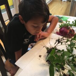 Remembering Brian L. Davis., Ph.D. 10