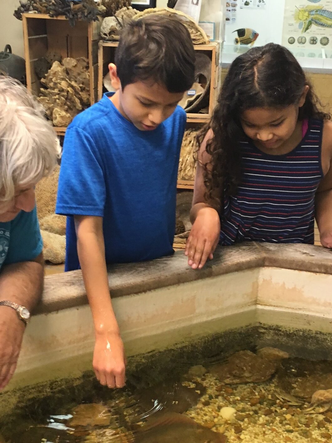 Remembering Brian L. Davis., Ph.D. 8