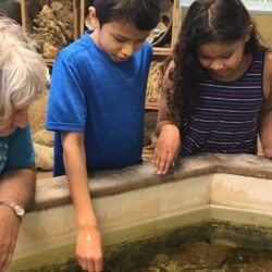 Remembering Brian L. Davis., Ph.D. 8