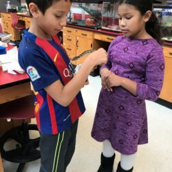 Remembering Brian L. Davis., Ph.D. 9