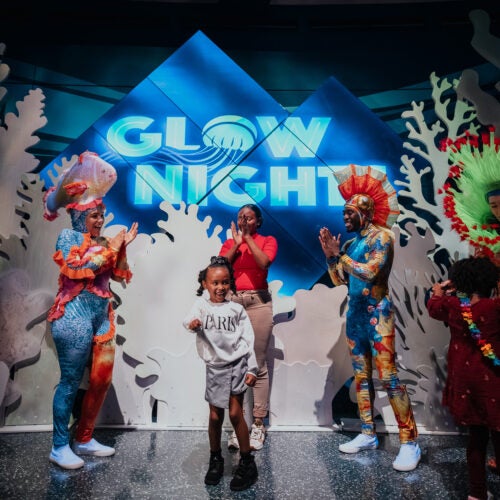 Glow Nights 15
