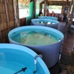 StAR Project: From Egg to Ocean