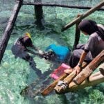 StAR Project: From Egg to Ocean 1