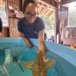 StAR Project: From Egg to Ocean 2