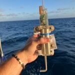 Refining Whale Shark Tagging Methods Through Global Collaboration 4
