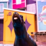 Update Your Wallpaper / Background with Georgia Aquarium 10