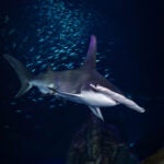 Update Your Wallpaper / Background with Georgia Aquarium 25