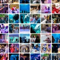 50 Million Guests. One Shared Mission.