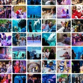 50 Million Guests. One Shared Mission.