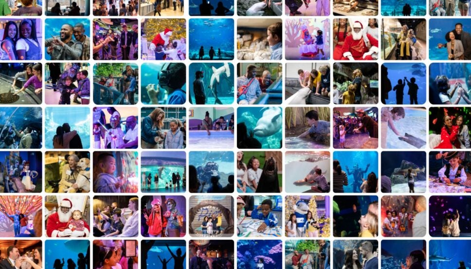 50 Million Guests. One Shared Mission.