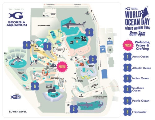 World Ocean Day 1