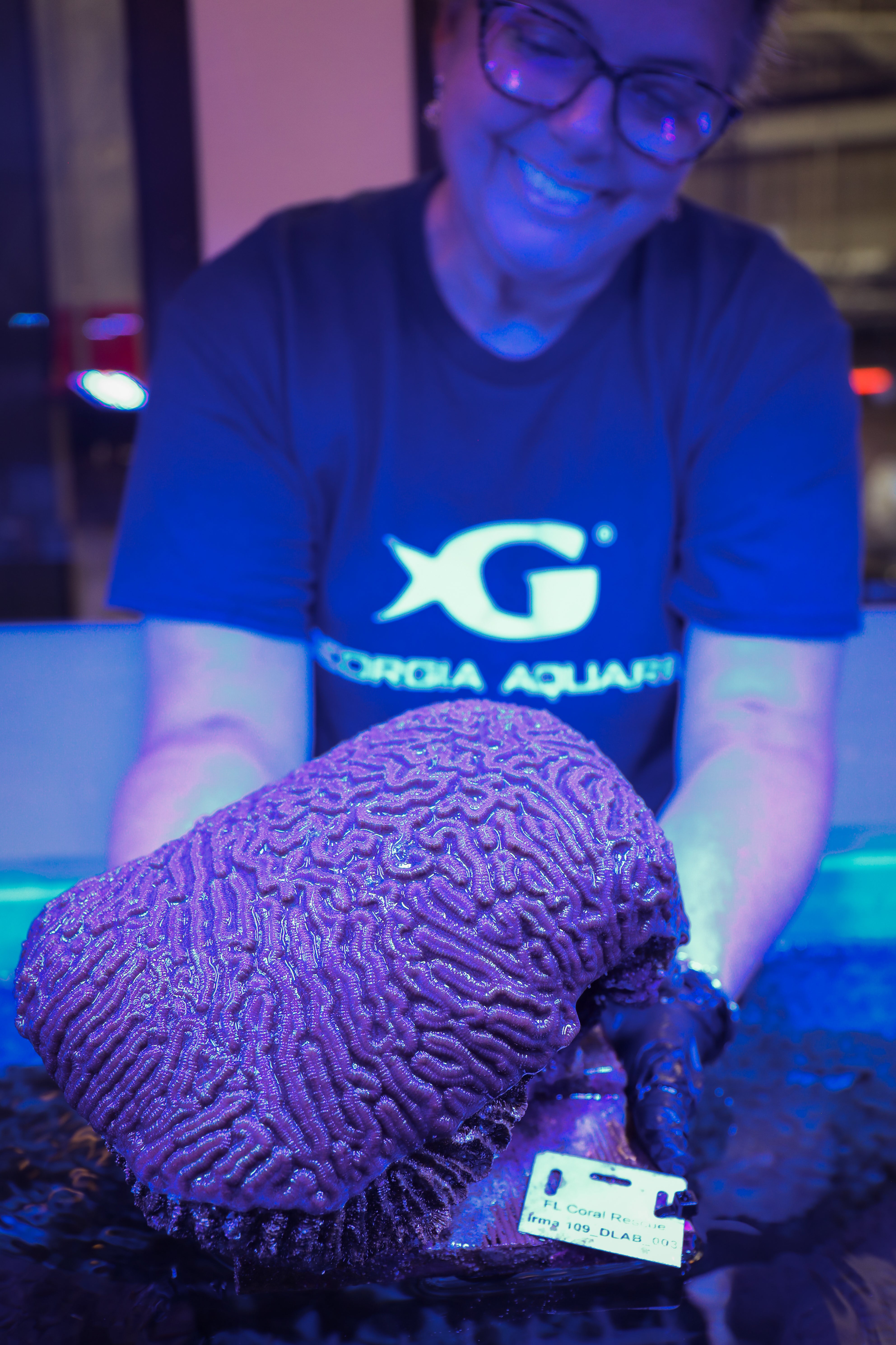 Tiny Corals, Big Hope: Georgia Aquarium Celebrates Coral Spawning Milestone 1