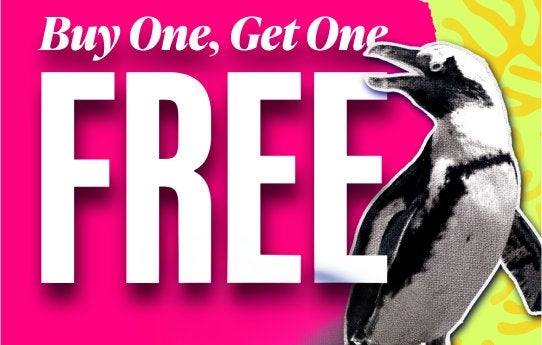 Buy Online and Save | Visit Today | Georgia Aquarium | Located in Downtown Atlanta, Georgia 46