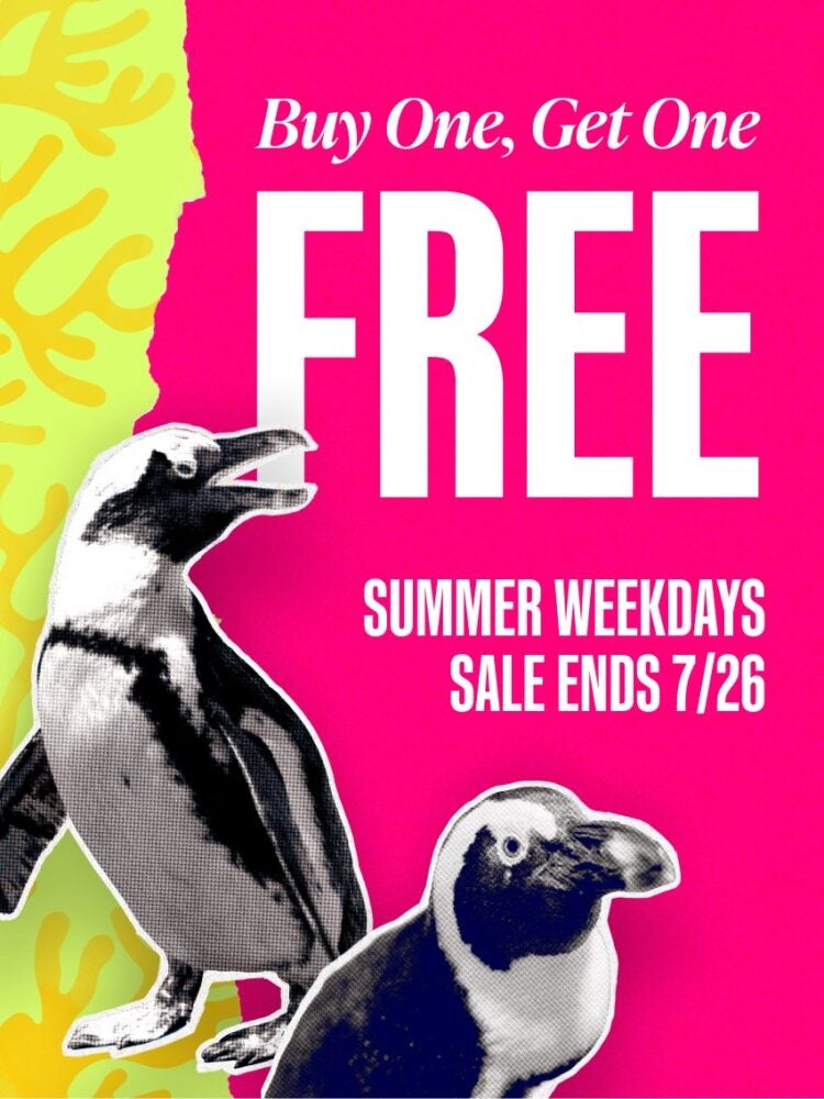 Buy Online and Save | Visit Today | Georgia Aquarium | Located in Downtown Atlanta, Georgia 59