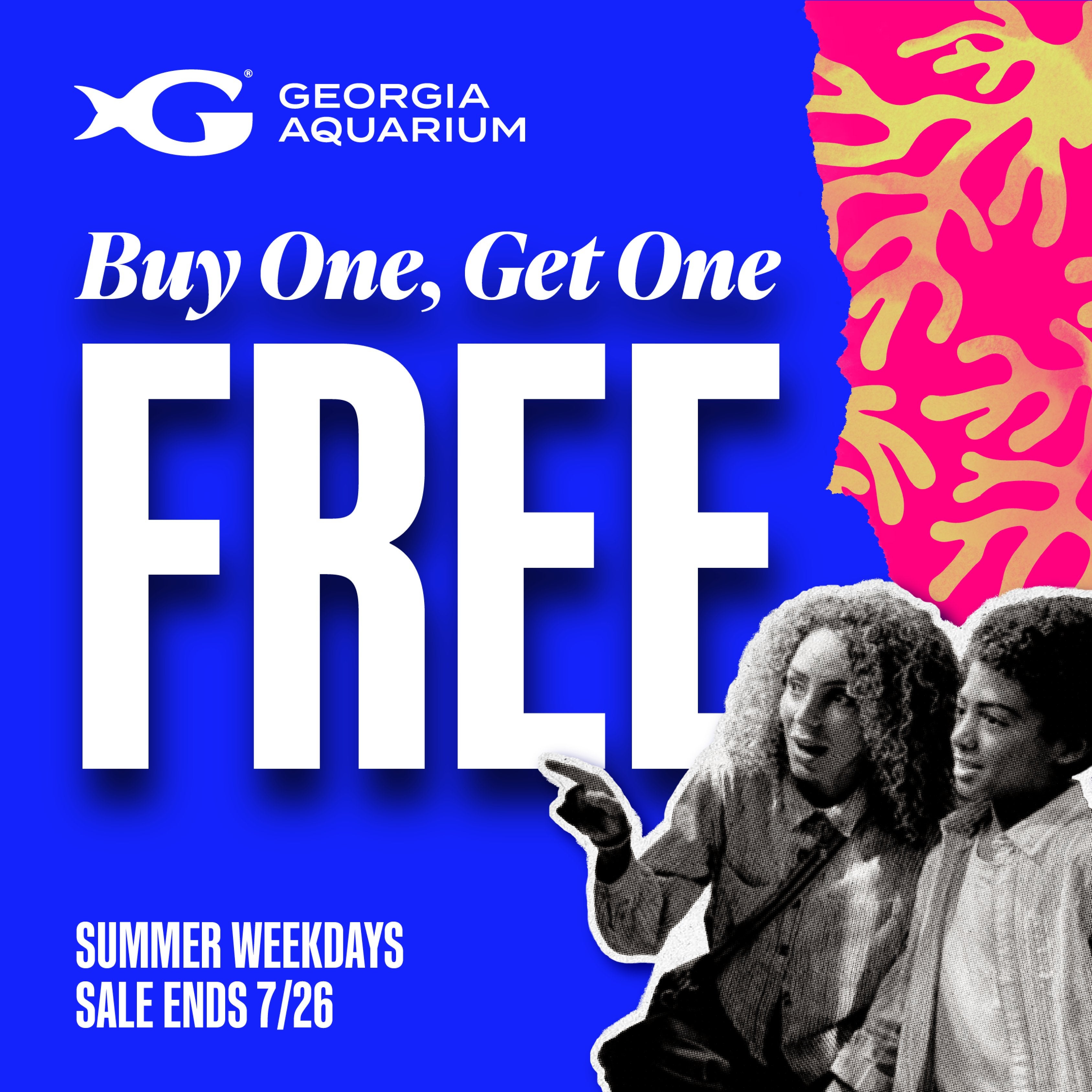 BOGO