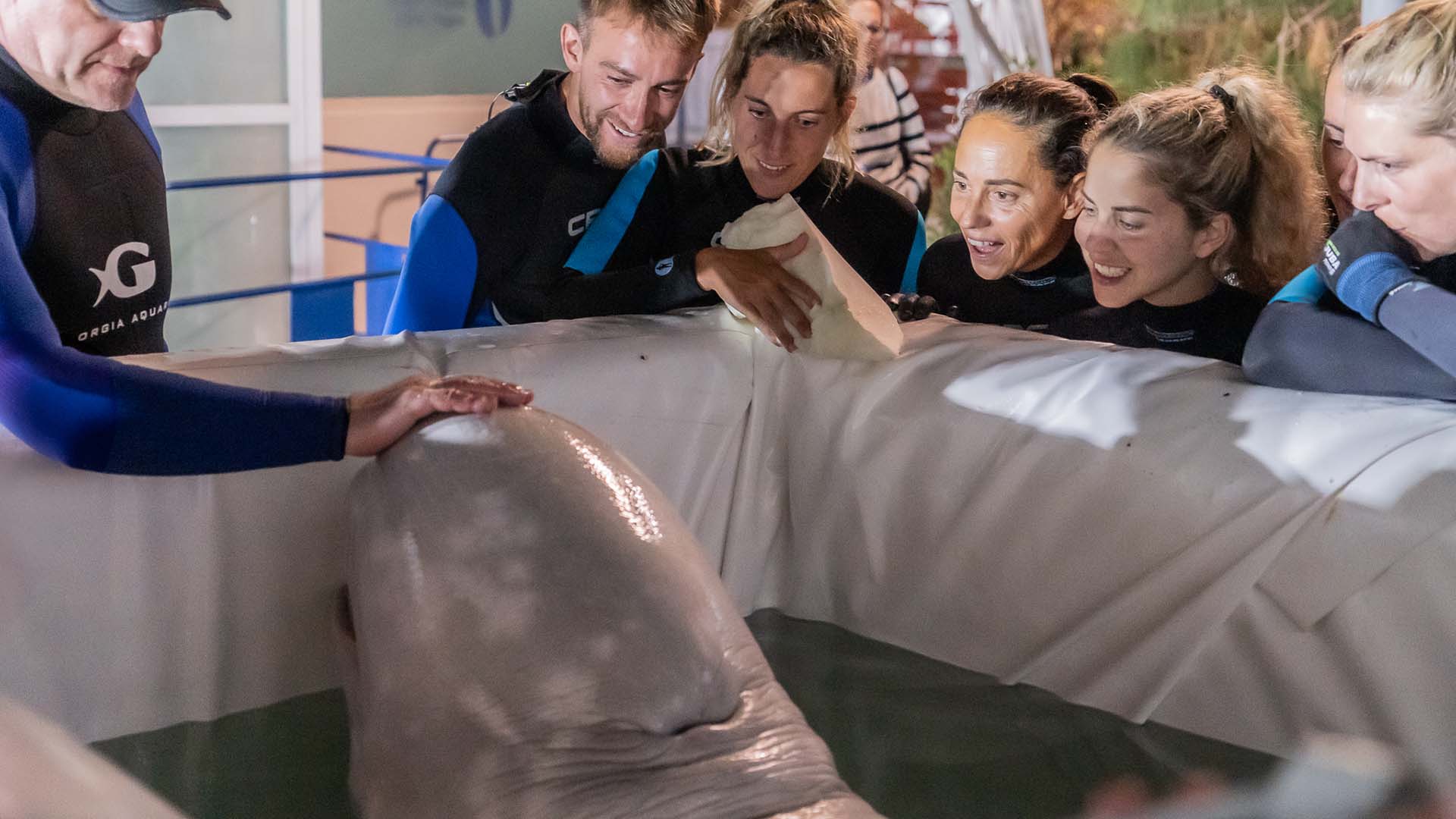 Mission Critical: Rescuing Beluga Whales 7