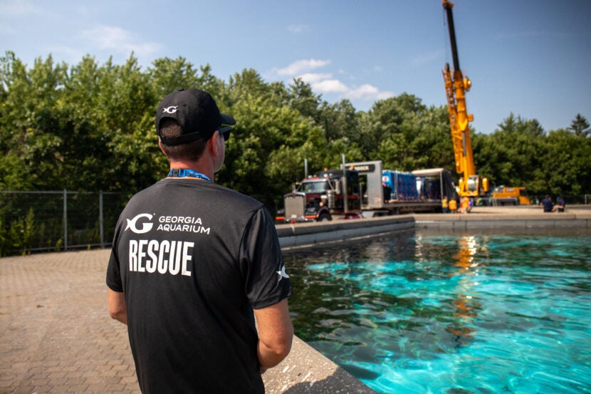 First Rescued Belugas From Marineland of Canada Arrive Safely to New Homes in the United States