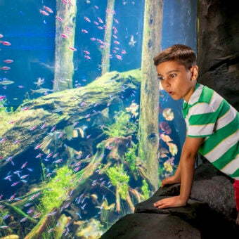 Discover the Reimagined Southern Company River Scout Gallery