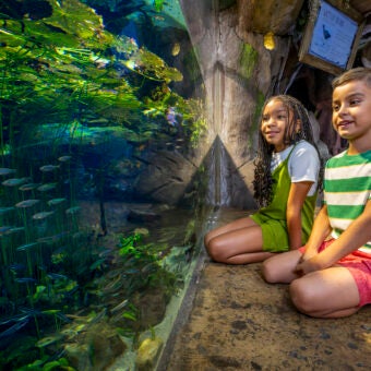 Discover the Reimagined Southern Company River Scout Gallery 2