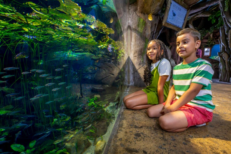Discover the Reimagined Southern Company River Scout Gallery 2
