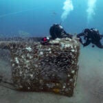 How a MARTA Car Became Part of Georgia Aquarium’s Marine Research 2