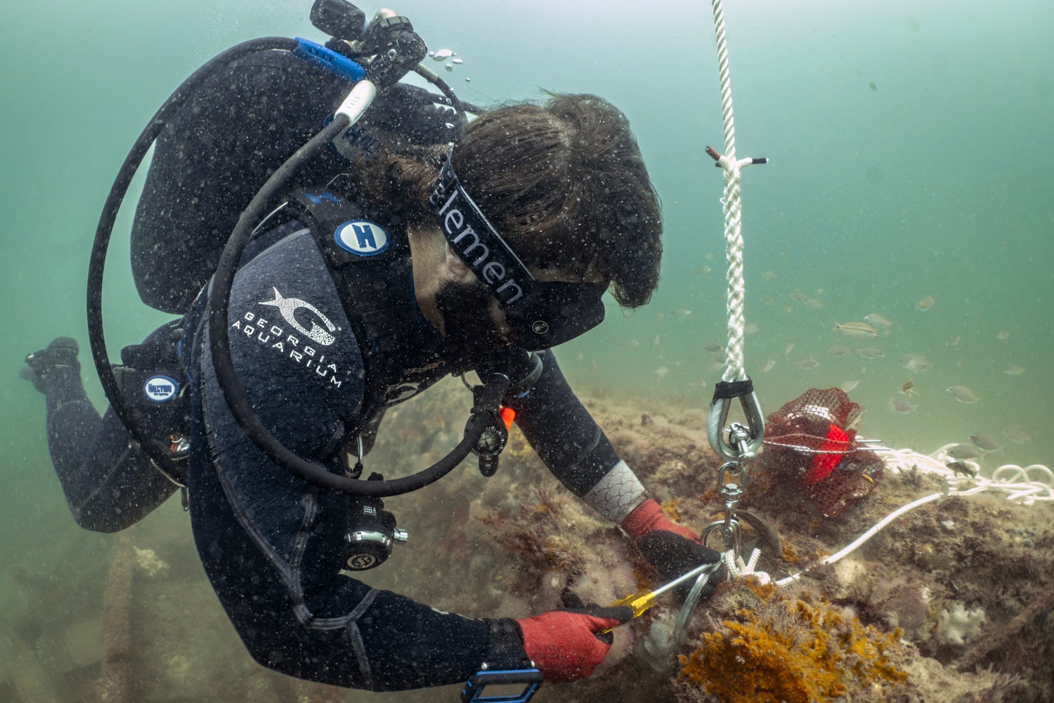 How a MARTA Car Became Part of Georgia Aquarium’s Marine Research 3