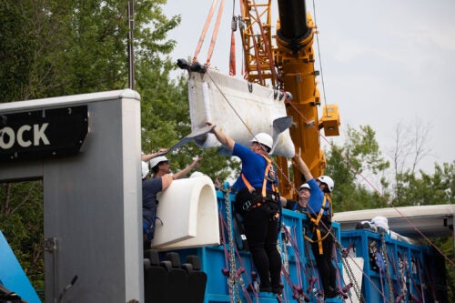 Mission Critical: Rescuing Beluga Whales 5