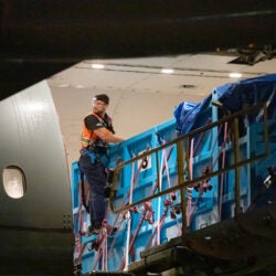 Mission Critical: Rescuing Beluga Whales 10