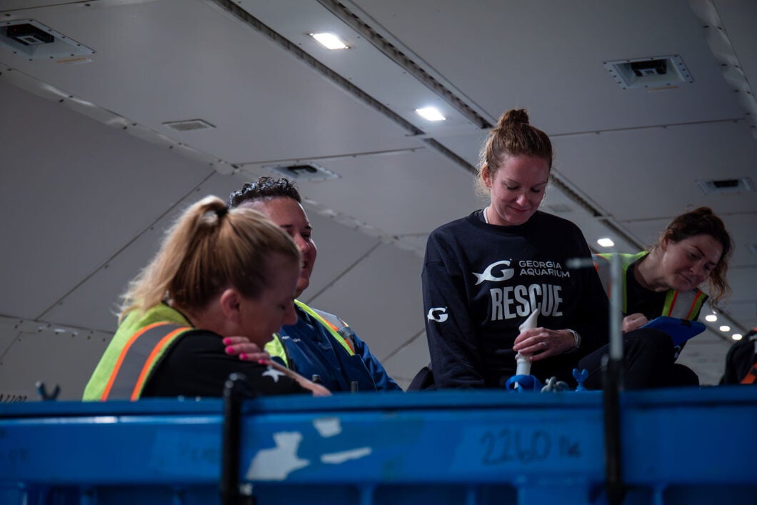 Mission Critical: Rescuing Beluga Whales 11