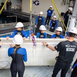 Mission Critical: Rescuing Beluga Whales 13