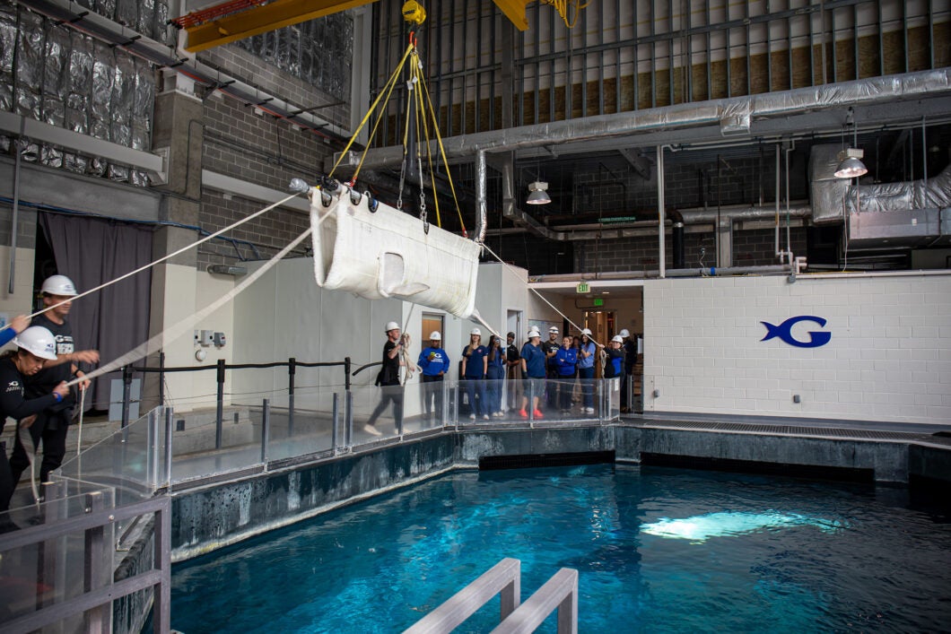 Mission Critical: Rescuing Beluga Whales 14