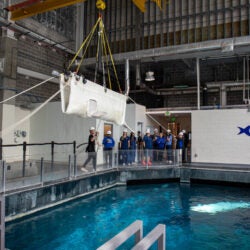 Mission Critical: Rescuing Beluga Whales 14