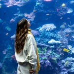 young lady looking up into tropical diver habitat