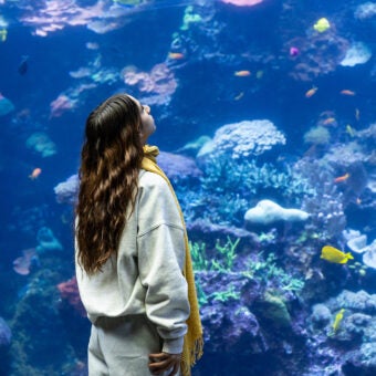 young lady looking up into tropical diver habitat