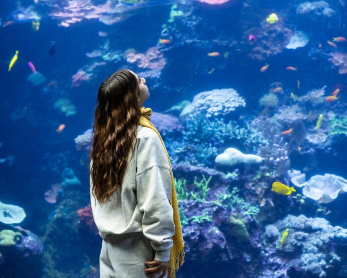 young lady looking up into tropical diver habitat