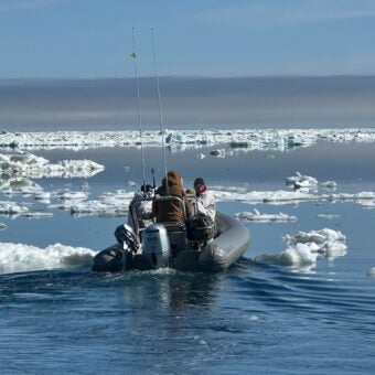 A Day in the Life of an Arctic Walrus Researcher 3