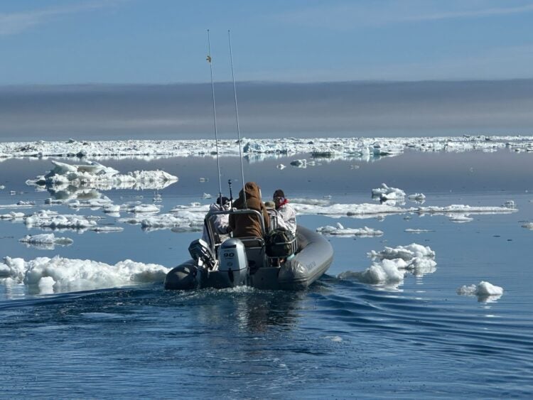 A Day in the Life of an Arctic Walrus Researcher 3