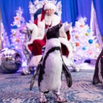Georgia Aquarium Announces WinterTide, a New Holiday Experience for 2026 3