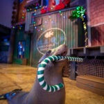 Georgia Aquarium Announces WinterTide, a New Holiday Experience for 2026 5