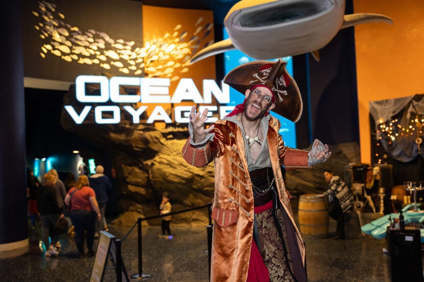 Haunted Seas pirate