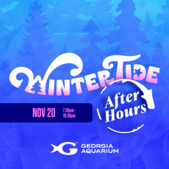 WinterTide After Hours November 20