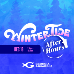 WinterTide After Hours December 18